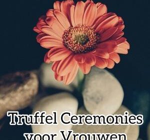 Het onderbewuste in jou, meer bewust maken